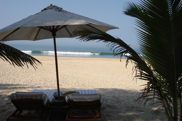 Similar image 1342882