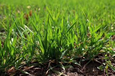 Similar image 1342884