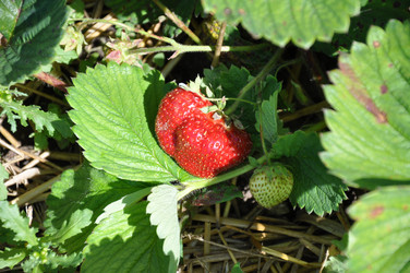 Similar image 1342885