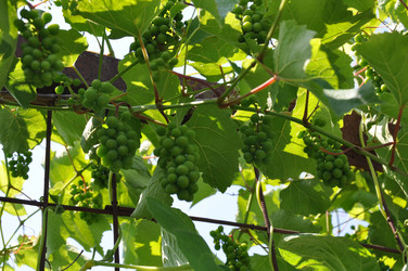 Similar image 1342886