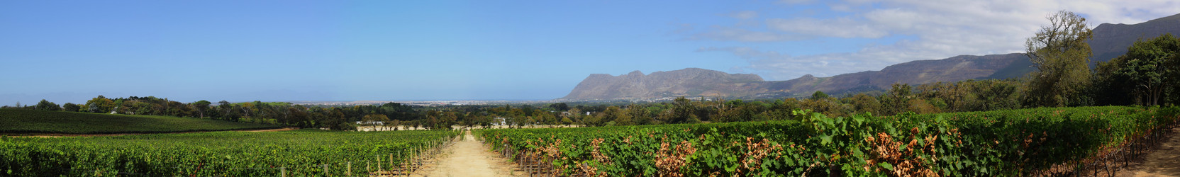 Similar image 1342889