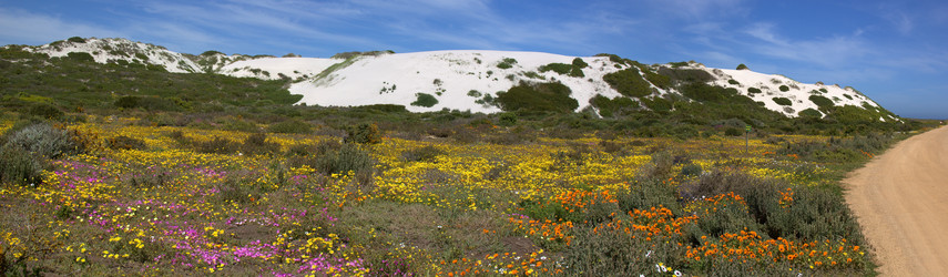 Similar image 1342891