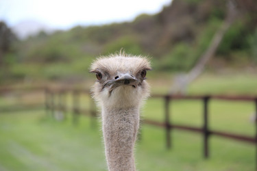 Similar image 1342895