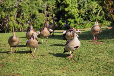 Similar image 1342898