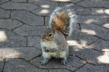 Similar image 1342899