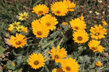 Similar image 1342912