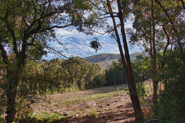 Similar image 1342930