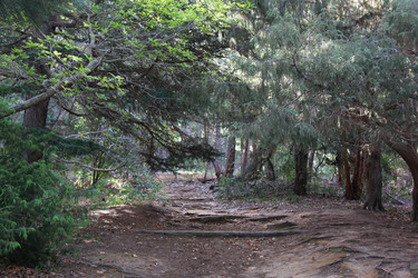 Similar image 1342931