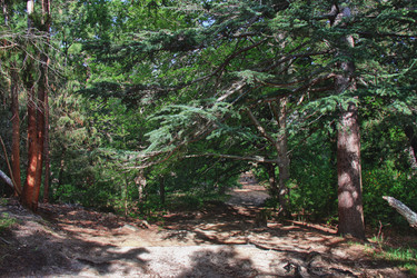 Similar image 1342932