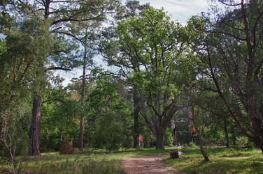 Similar image 1342933