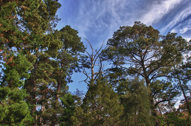 Similar image 1342934