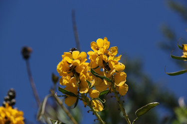 Similar image 1342936