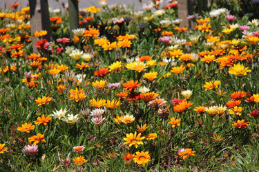 Similar image 1342937