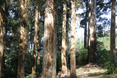 Similar image 1342939