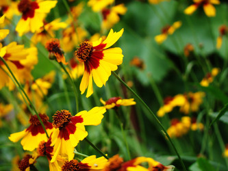 Similar image 1342940