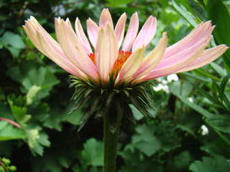 Similar image 1342941