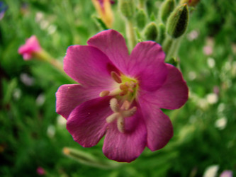 Similar image 1342943