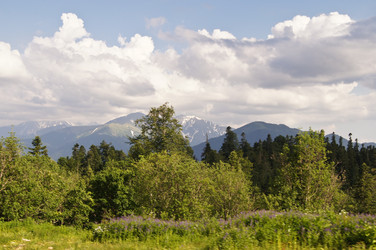 Similar image 1342944