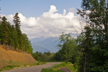 Similar image 1342945