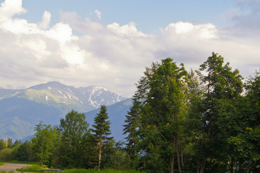 Similar image 1342947