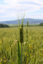 Similar image 1342948