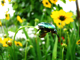 Similar image 1342961