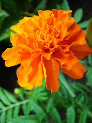 Similar image 1342963