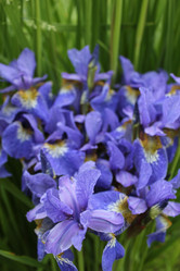 Similar image 1342994