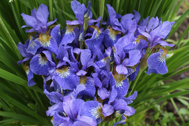 Similar image 1342995