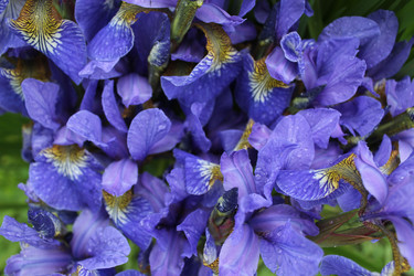 Similar image 1342997