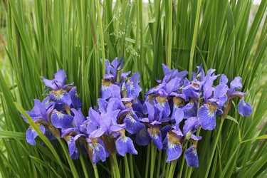 Similar image 1342998