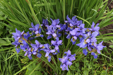 Similar image 1342999