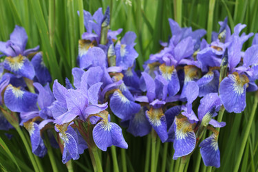 Similar image 1343000