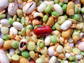 Similar image 1343032