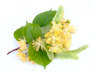 Similar image 1343049