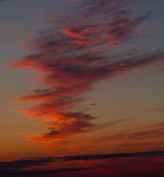 Similar image 1343053