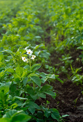 Similar image 1343055