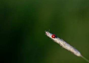 Similar image 1343056