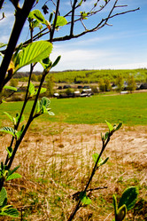 Similar image 1343058