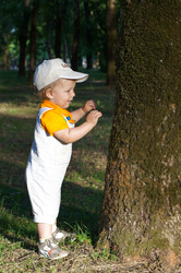 Similar image 1343072