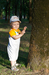 Similar image 1343073