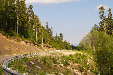 Similar image 1343074