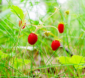 Similar image 1343103