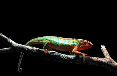 Similar image 1343122