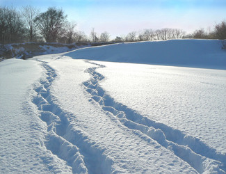 Similar image 1343144