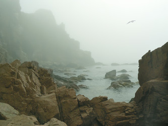 Similar image 1343169