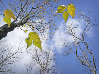 Similar image 1343174