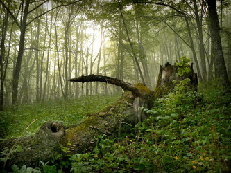 Similar image 1343175