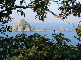 Similar image 1343177