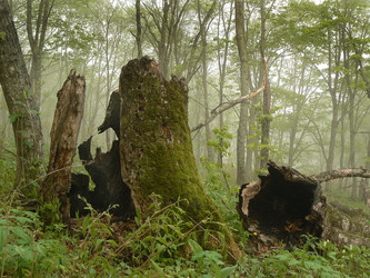 Similar image 1343179